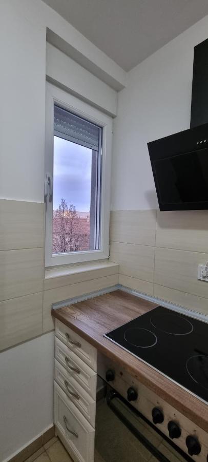 נובי סאד Grove II Apartment = Strict City Centre מראה חיצוני תמונה